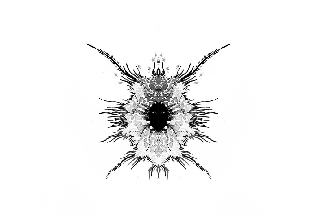 Edition insectes_Page_04