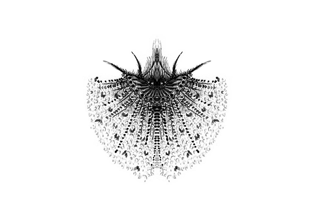 Edition insectes_Page_10
