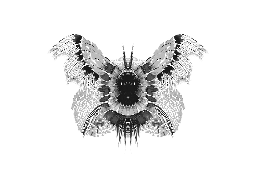 Edition insectes_Page_11