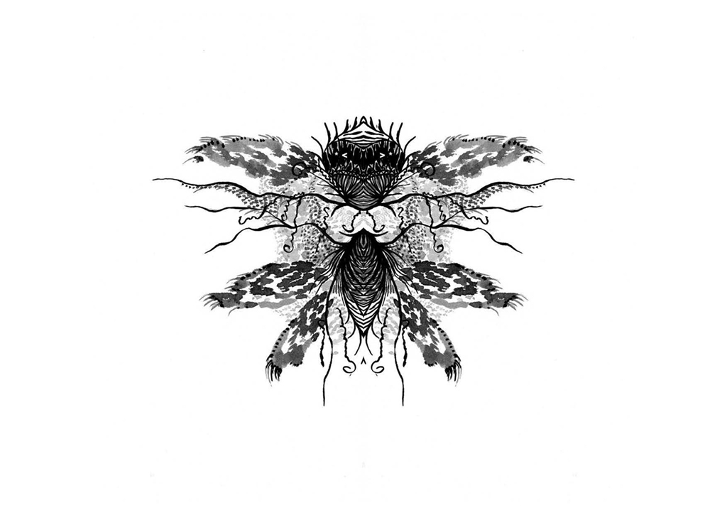 Edition insectes_Page_14