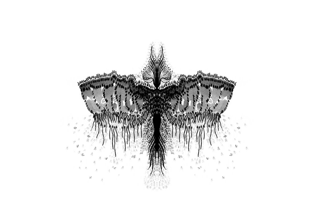 Edition insectes_Page_15