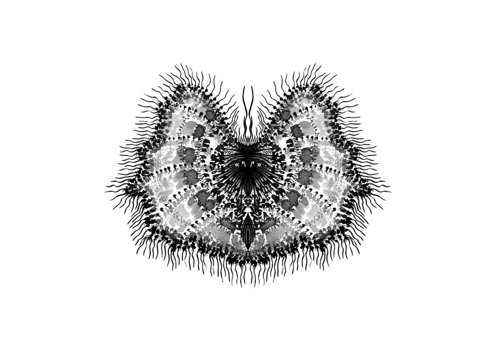 Edition insectes_Page_16