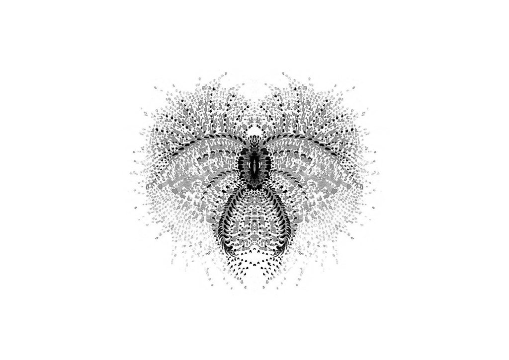 Edition insectes_Page_18